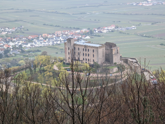 Hohe Loog, Neustadt
16. April 2023